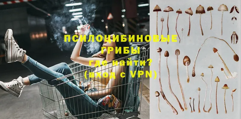 Галлюциногенные грибы MAGIC MUSHROOMS  Бахчисарай 