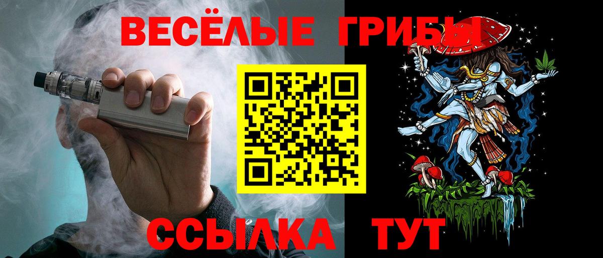 Галлюциногенные грибы Psilocybine cubensis Бахчисарай